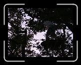 equinox76 (66) * 1632 x 1224 * (1.21MB)